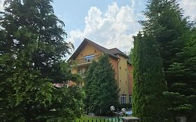 Vila Raluca